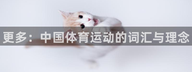 米兰体育官网下载平台:更多:中国体育运动的词汇与理念