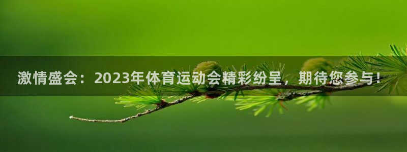 米兰体育官网下载招商电话号码是多少号:激情盛会:2023年体